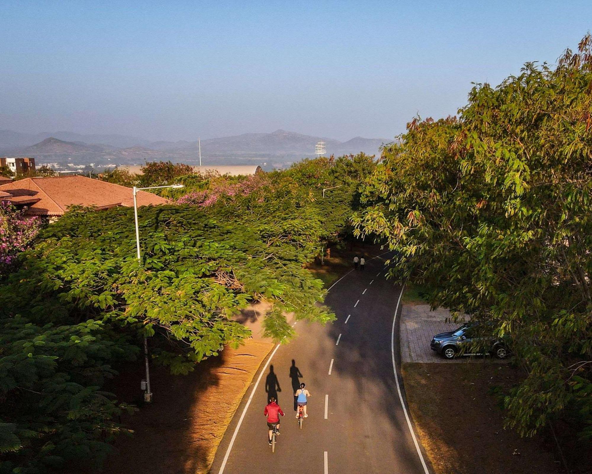 حياة بلايس هامبي المظهر الخارجي الصورة